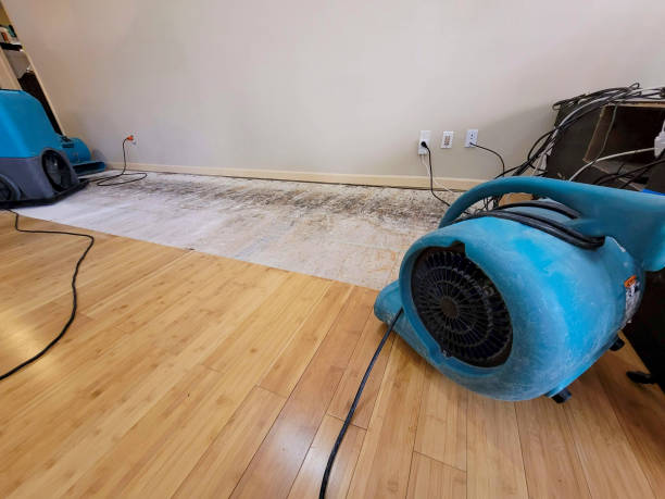 Professional Water Damage Repair technician working in South Yarmouth, MA
